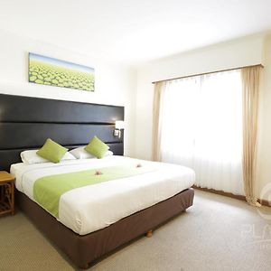 One-Bedroom Suite
